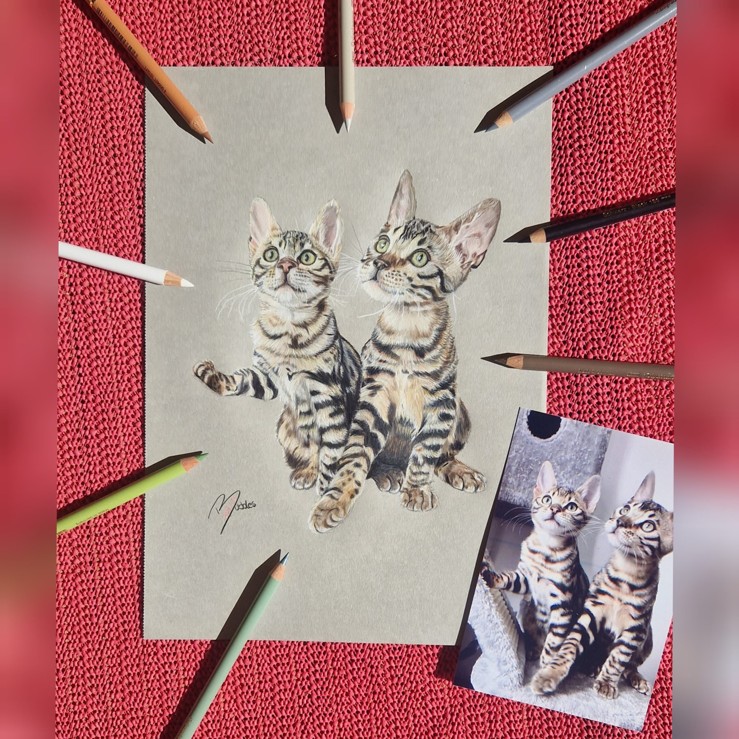 InCollage_20230926_112746602